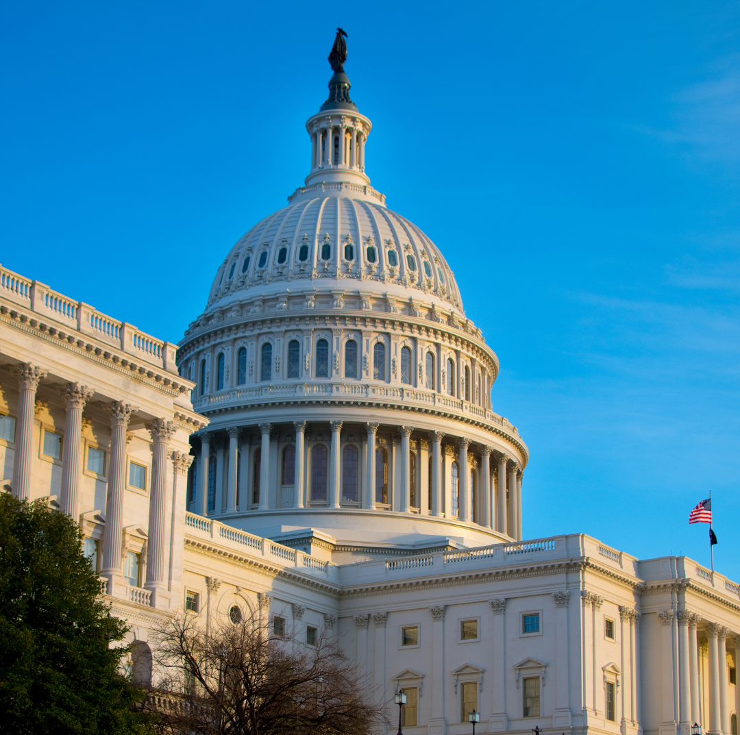 The Role of AI in Simplifying Government Vendor Selection